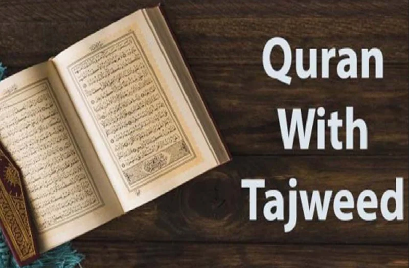 learn quran with tajweed qzzv12u4naqt973r4i55wp8ldv0j65m7k5ig1yvq7s (1)